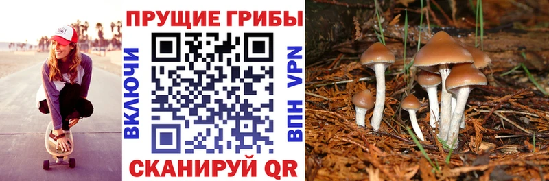 kraken ССЫЛКА  Каменск-Уральский  Галлюциногенные грибы Cubensis 